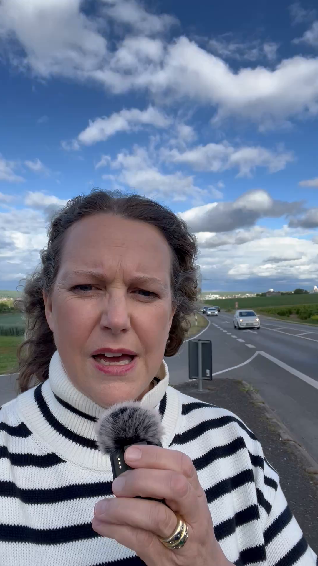 Video: Zeitplan für die Baustelle zwischen Sachsenheim und Bietigheim