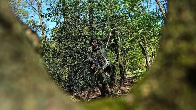 „Amalia-Effekt“: Royals lösen Ansturm auf Armee der Niederlande aus