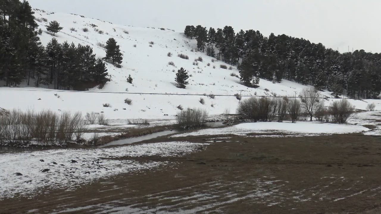 Video: Türkei: Braunbär verlässt Winterruhe und begibt sich auf Nahrungssuche