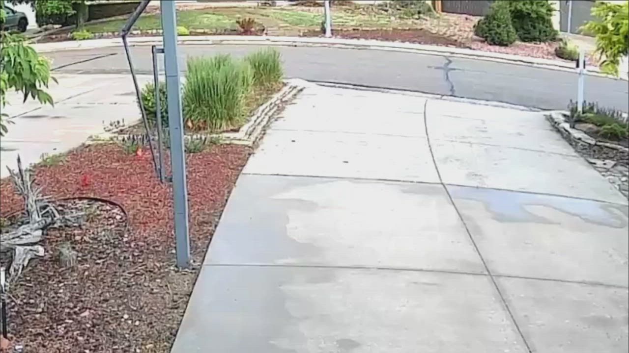 Video: US: Schwarzbär bricht in Garage in Colorado Springs ein und verteilt Müll auf der Einfahrt
