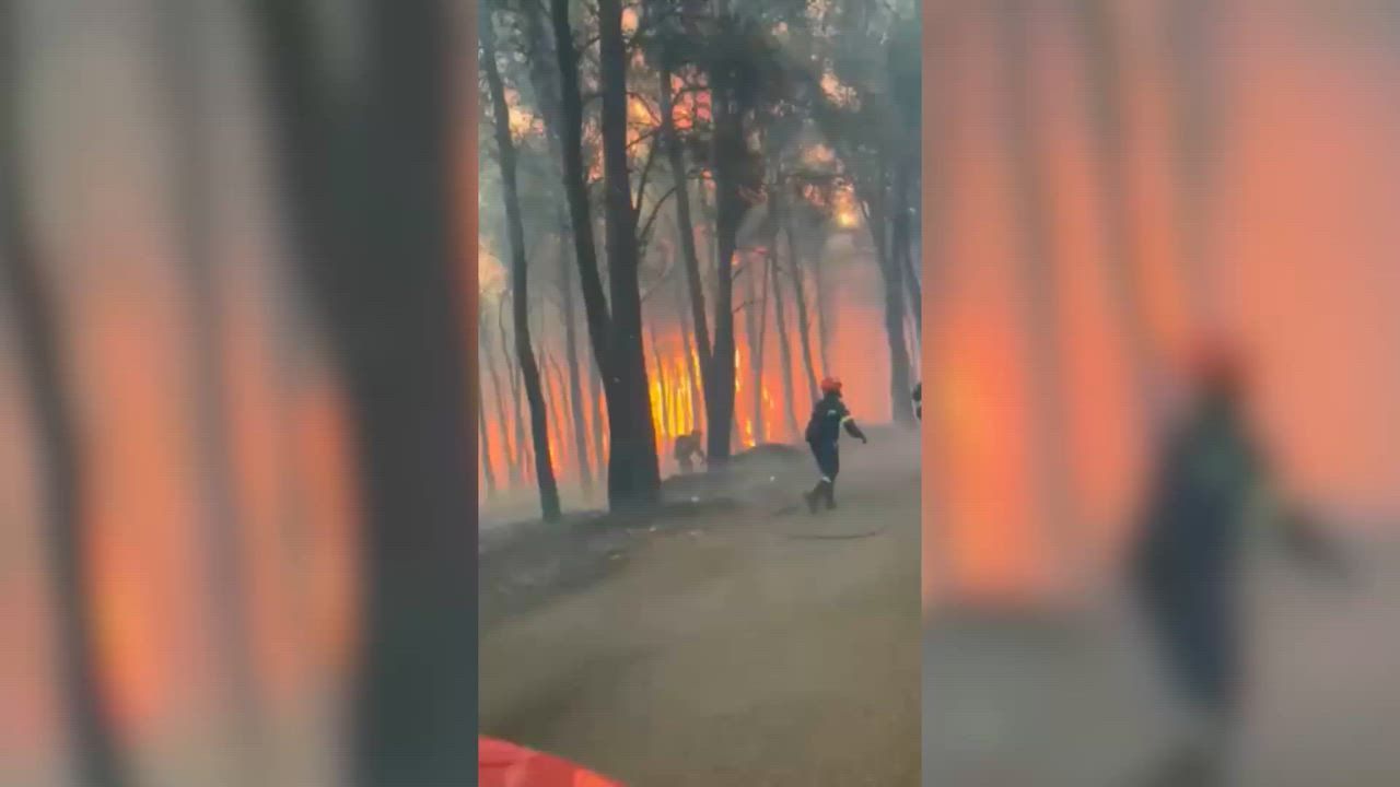 Video: Greece: Einsatz gegen Waldbrände in Westgriechenland geht weiter, landesweit mehr als 70 Feuer