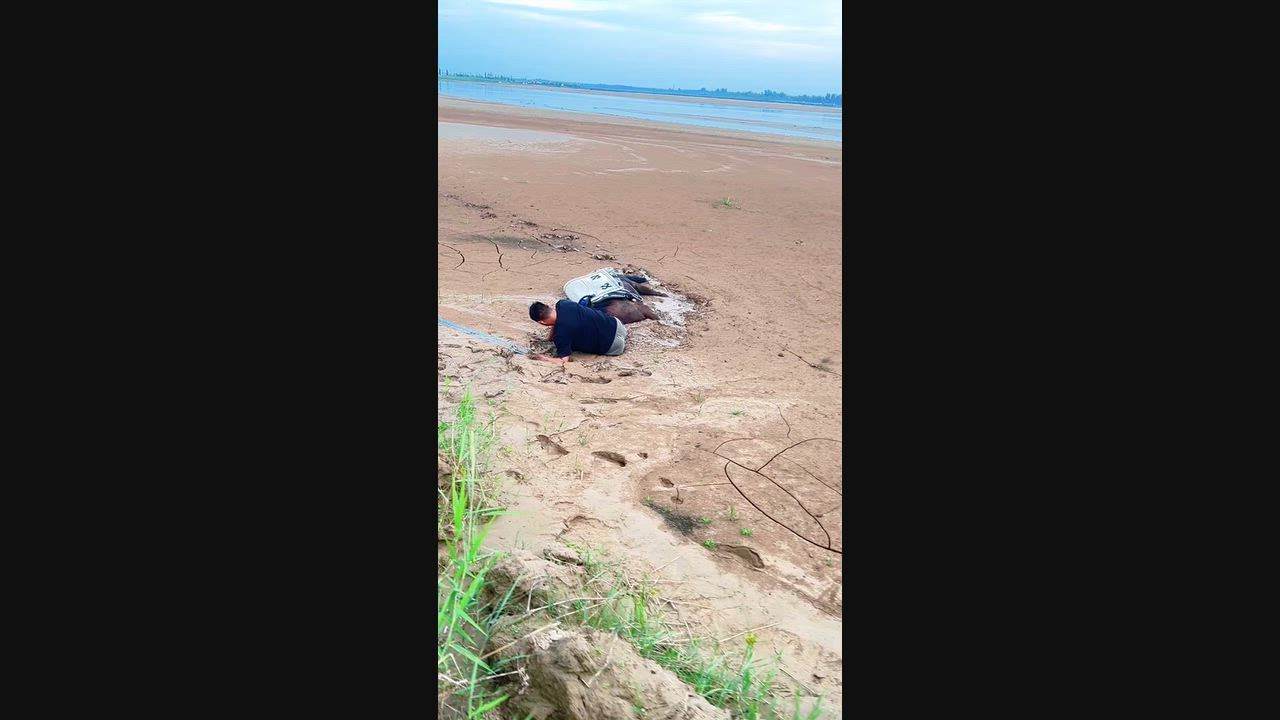 Video: China: Pferd gerettet, nachdem es in tiefem Schlamm an den Uferauen des Gelben Flusses in Henan, China, feststeckte