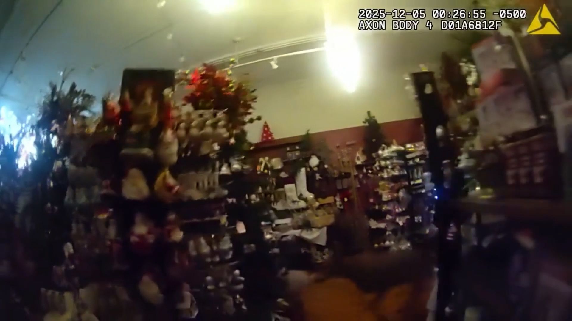 Video: Ein paar Eierlikör zu viel gehabt? "Einbruch" von Rentier in US-Weihnachtsgeschäft geht viral