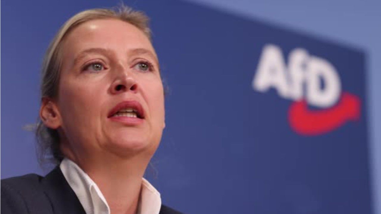 Umfrage-Schock für die AfD: Partei fällt auf tiefsten Stand seit einem Jahr