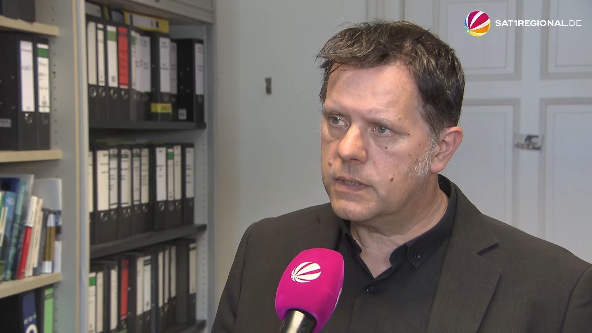 Anti-AfD-Protest in Hamburg: Experte im Interview