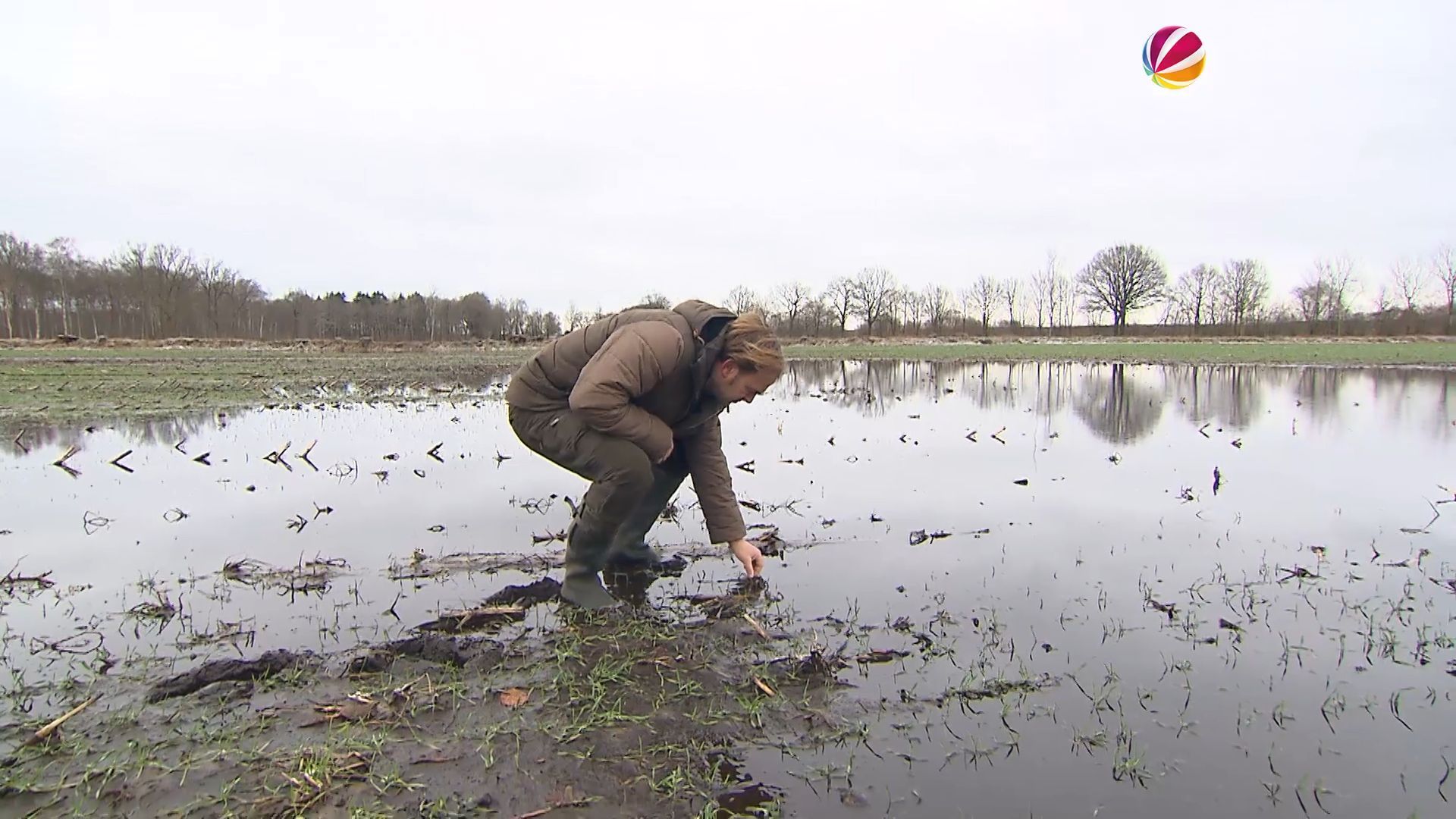 Hochwasser und Überschwemmungen sorgen für Ernteausfälle bei Landwirten