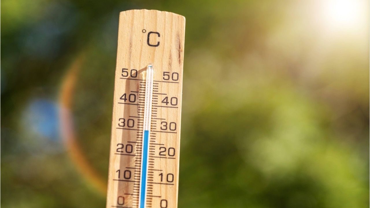 Jo-Jo-Winter: Nächste Woche 30 Grad mehr?