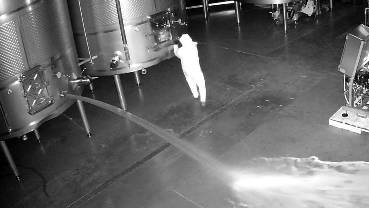 Unbekannter verschüttet Wein im Wert von 2,5 Millionen Euro in Spanien