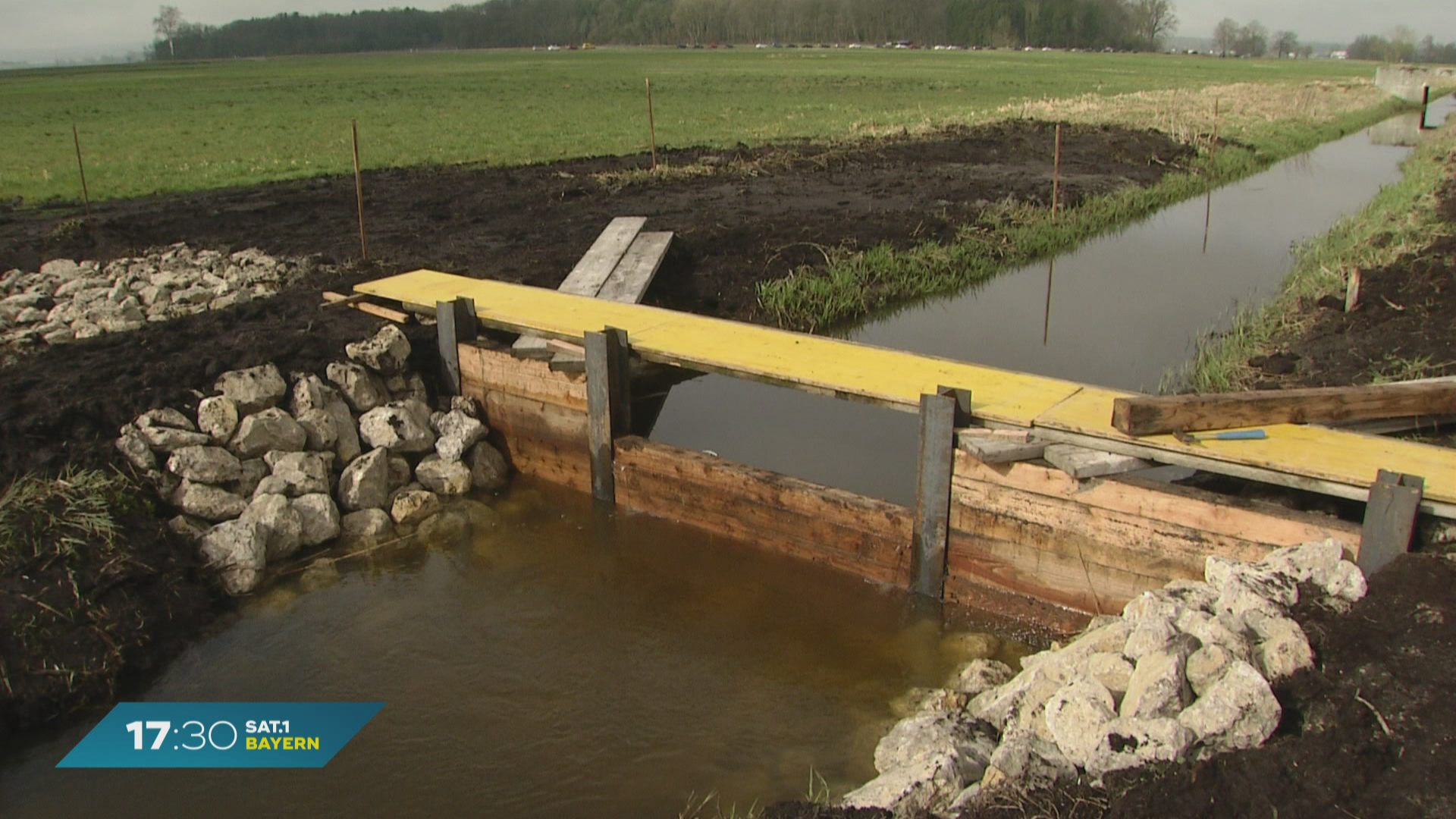 Klimaschutz in Bayern: Donaumoos soll renaturiert werden