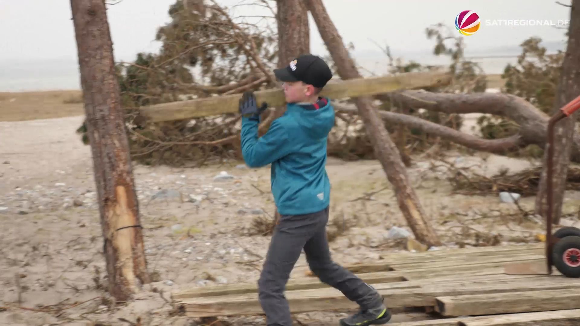 Zerstörung durch Sturmflut: Schüler helfen bei Aufräumarbeiten in Norddeutschland