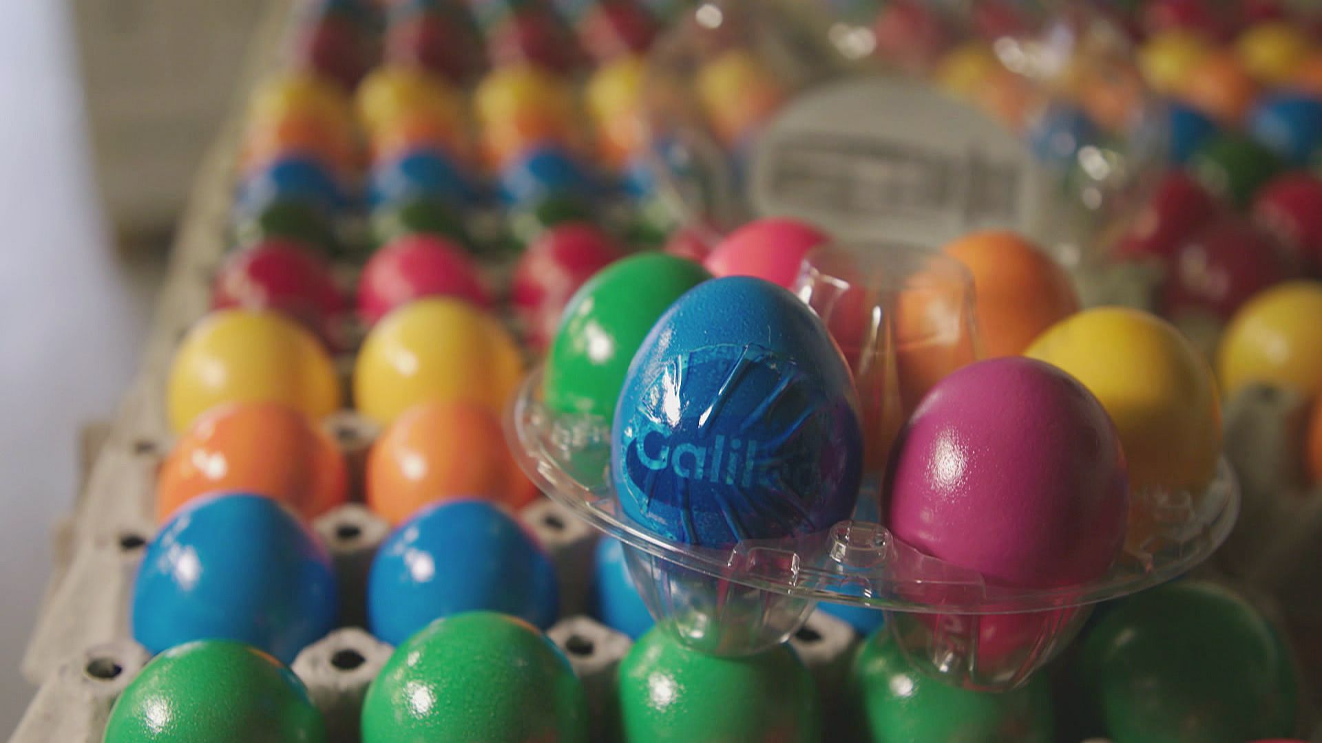 From the chicken coop to the Easter basket: The Easter egg factory