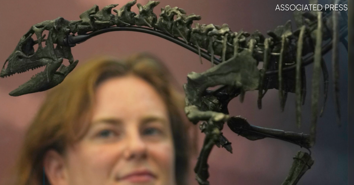 Forscher entdecken neue Dino-Art