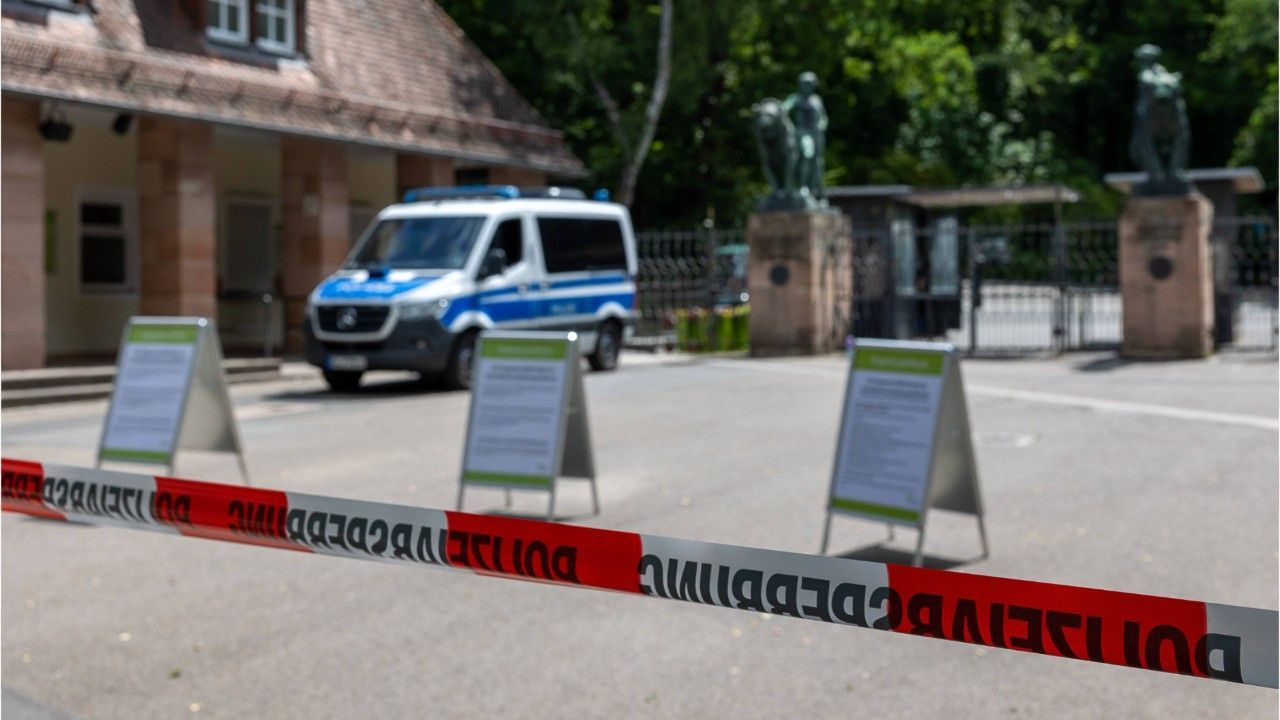 Paviane getötet: Aktivisten stürmen Nürnberger Tiergarten