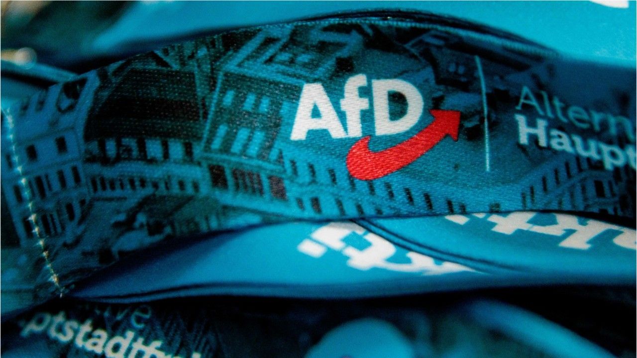 AfD provoziert mit neuem Logo