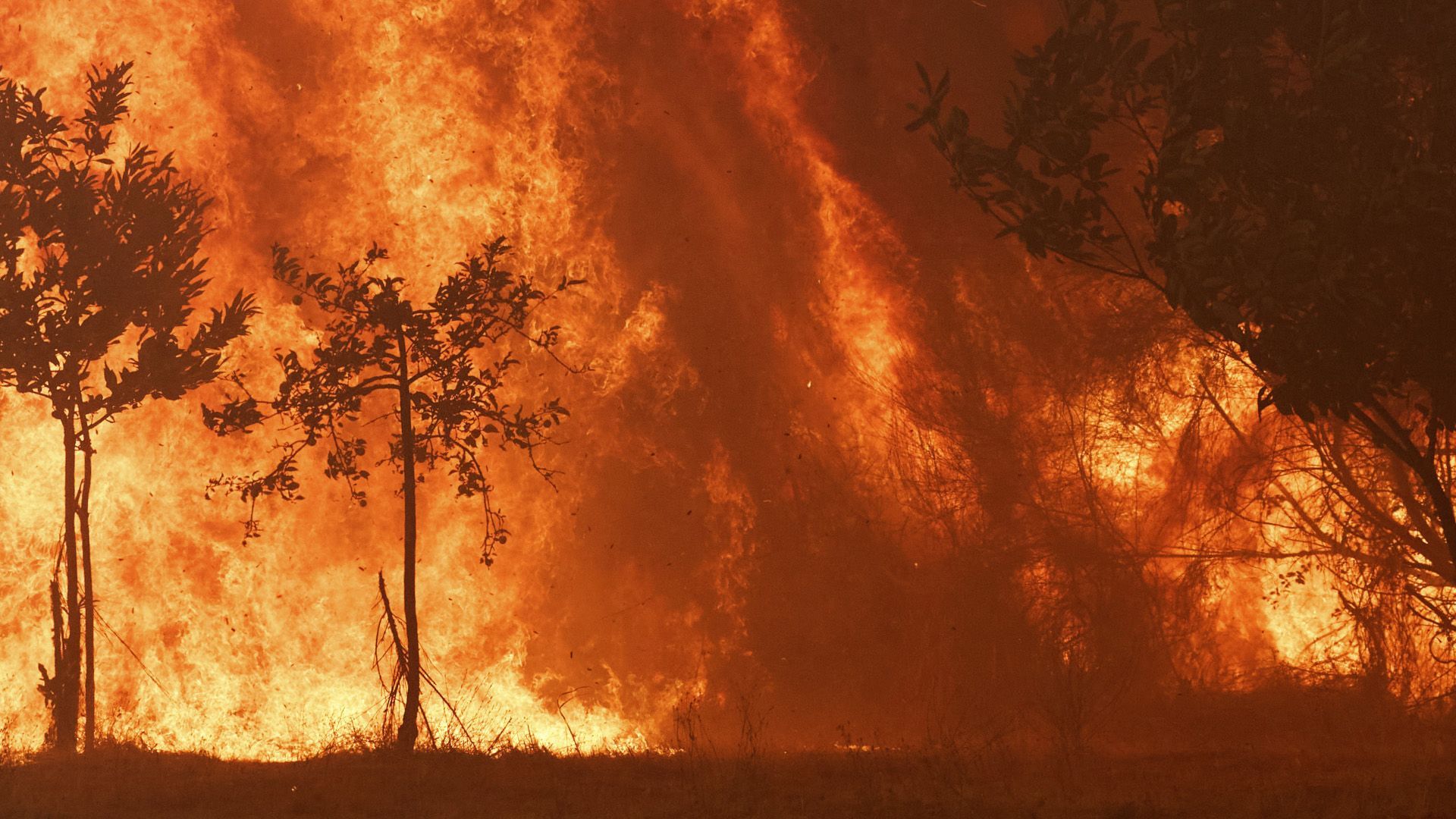 Video: Spanien: Schlimmstes Feuer seit 20 Jahren