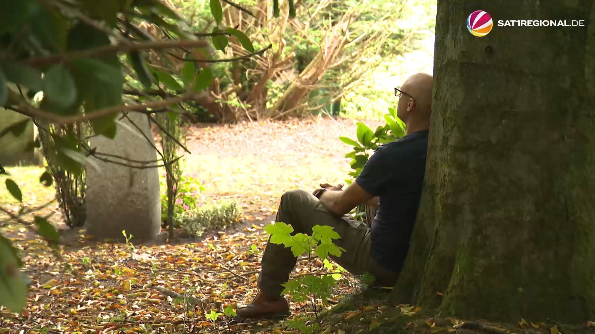 Forest Bathing - Reduce Stress and Connect with Nature