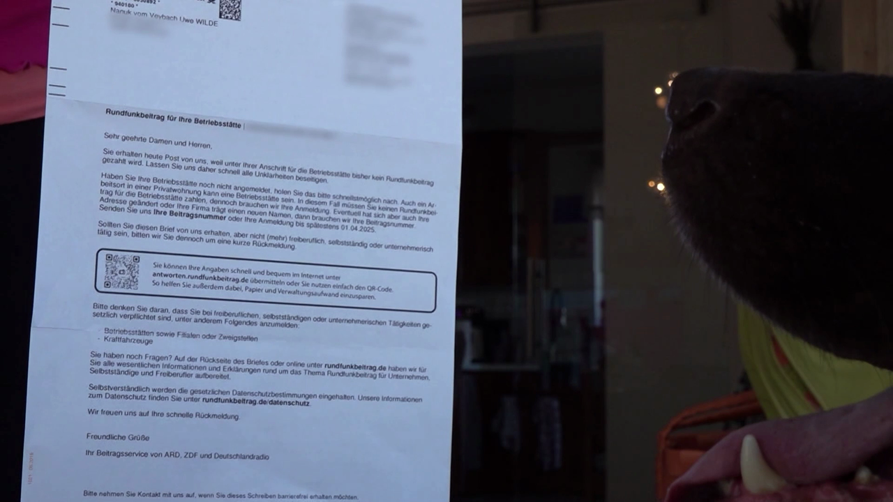Rundfunkgebühren für den Hund? Eine Kuriosität!