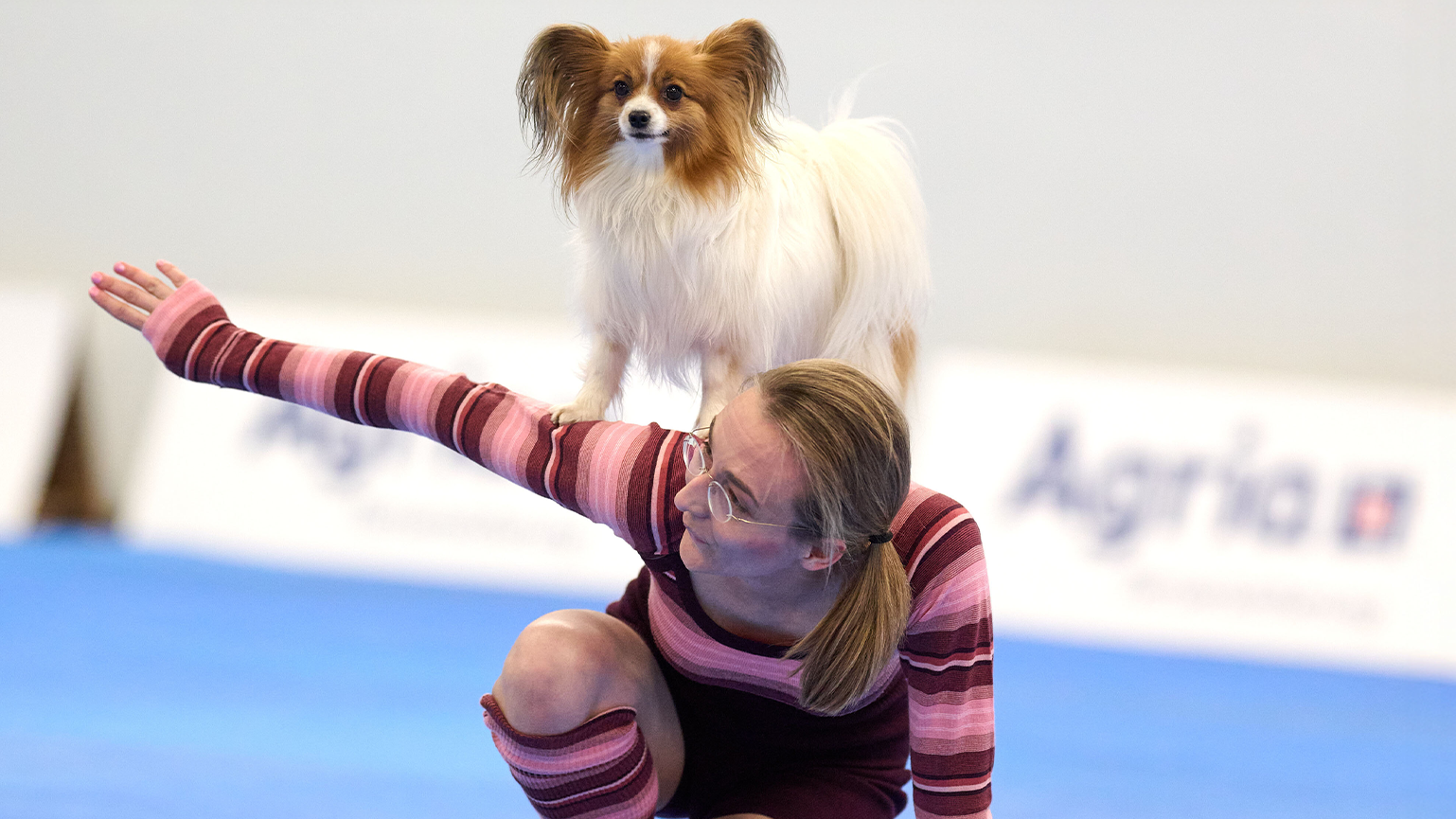 Video: Tanzende Hunde bei Messe in Dortmund