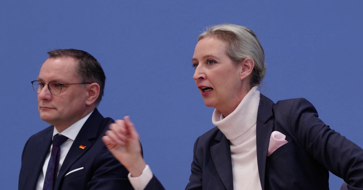 Umfrage: Darum ist die AfD so stark