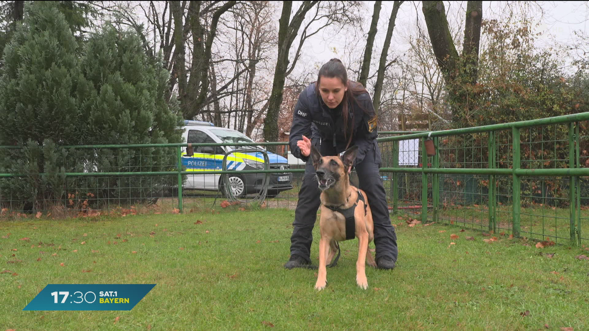 Video: Münchens Super-Spürnase: Polizeihund Disco begeistert im Dienst und privat