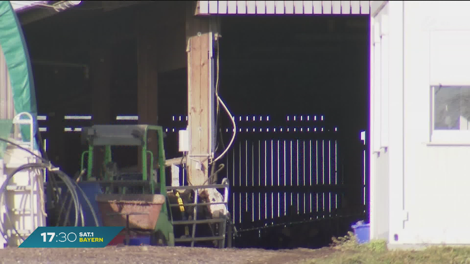 Video: Misshandlung von Rindern: Zwei Landwirte erneut vor Gericht in Memmingen