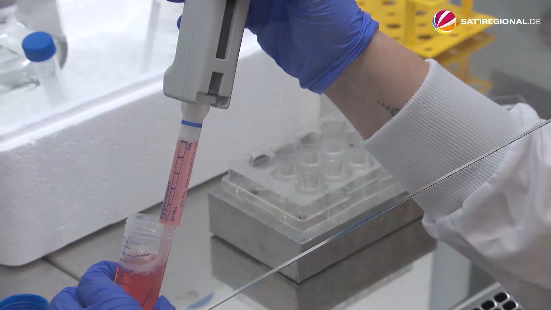 Video: Krise in der Chemie-Industrie: Was sieht die Perspektive für Niedersachsen aus?