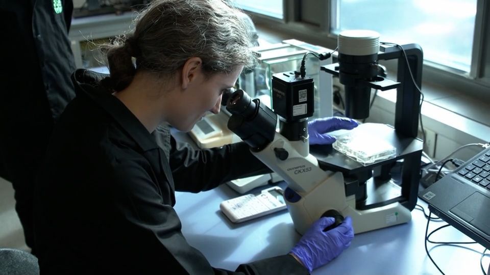 Video: So wird unsere Forschung eingebremst