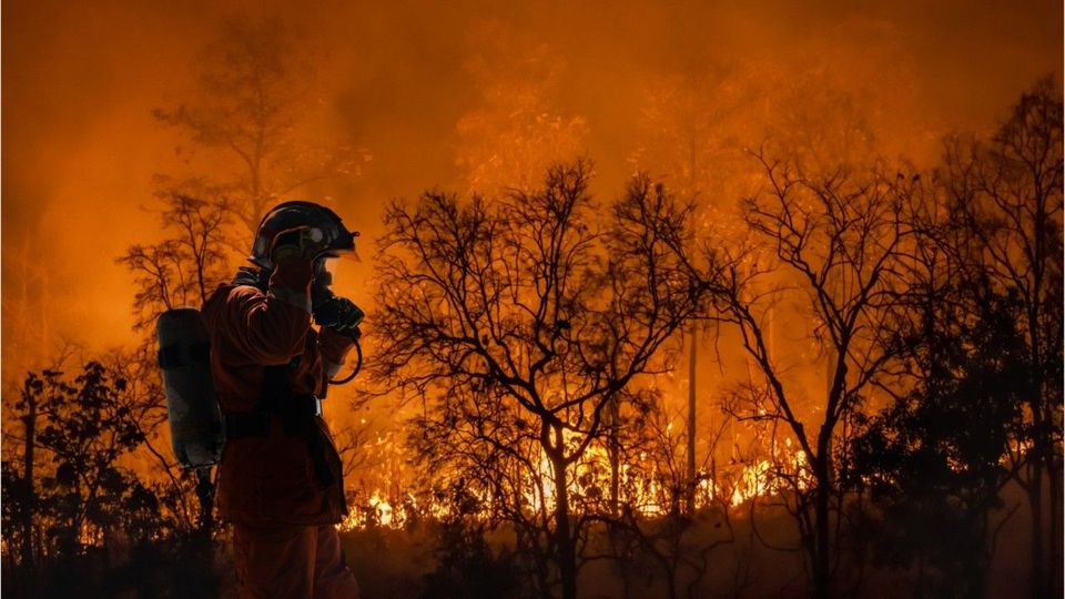 Forscher machen „zutiefst beunruhigende Entdeckung“ zum Klimawandel