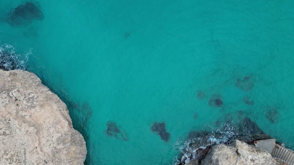 Entstellter Hai in Mallorca angespült