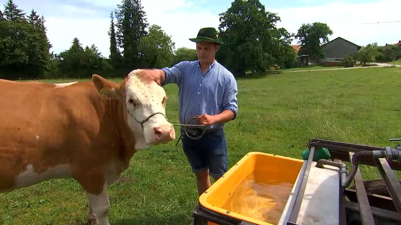 Video: Wasser wird teurer: Landwirte klagen über steigende Kosten