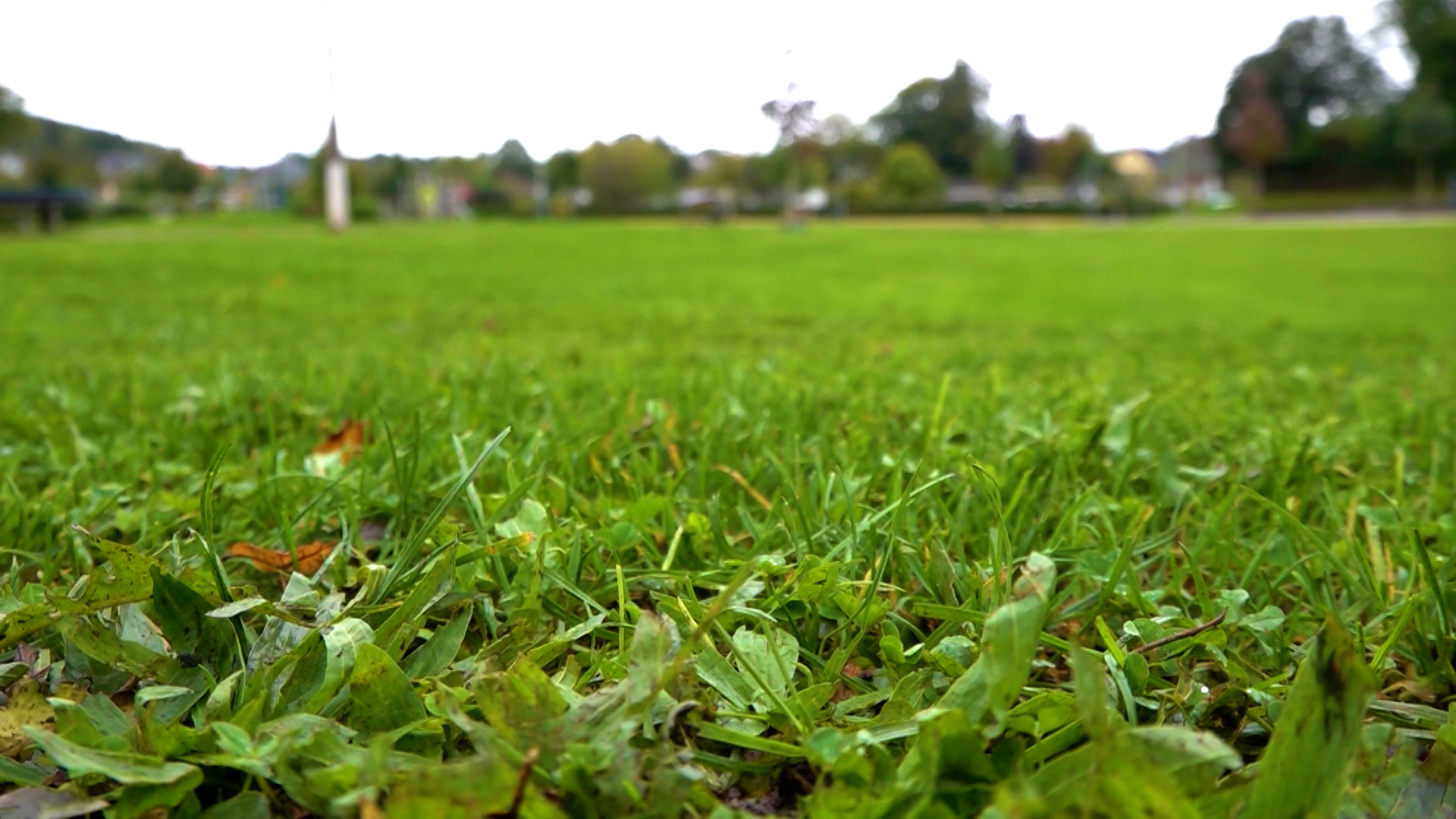Video: Zwei Milliarden für Klimapaket in NRW