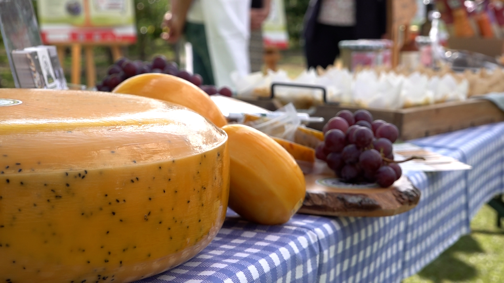 Video: Radtour "Raus aufs Land" gestartet - Käse & Obst direkt vom Landwirt
