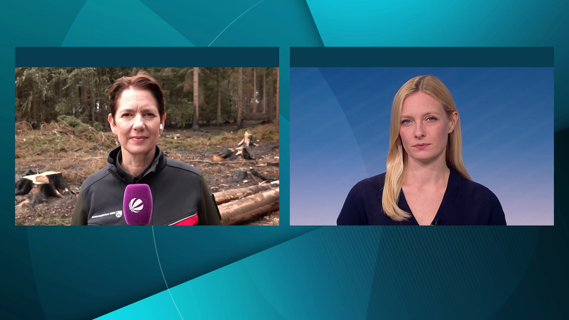 Video: Waldbrände hinterlassen großen Schaden