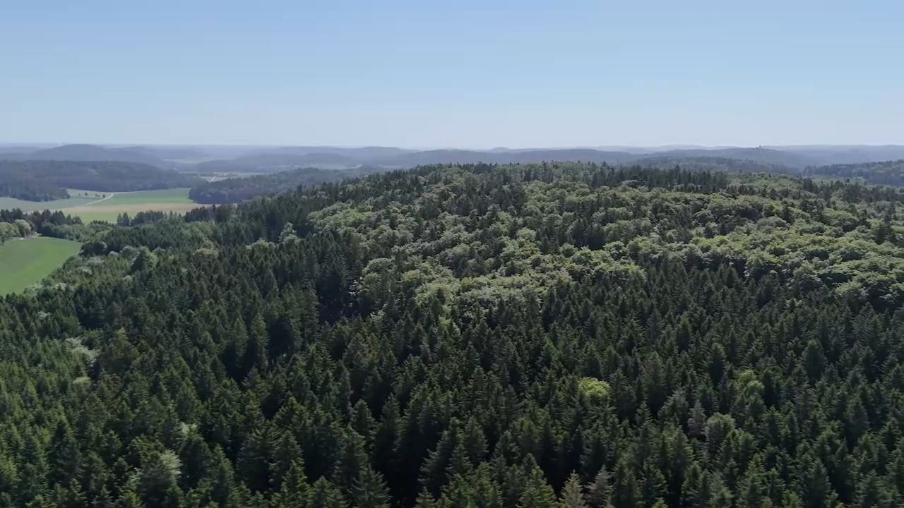 Video: Waldbrandgefahr in Bayern: Wie schützen wir unsere Wälder?
