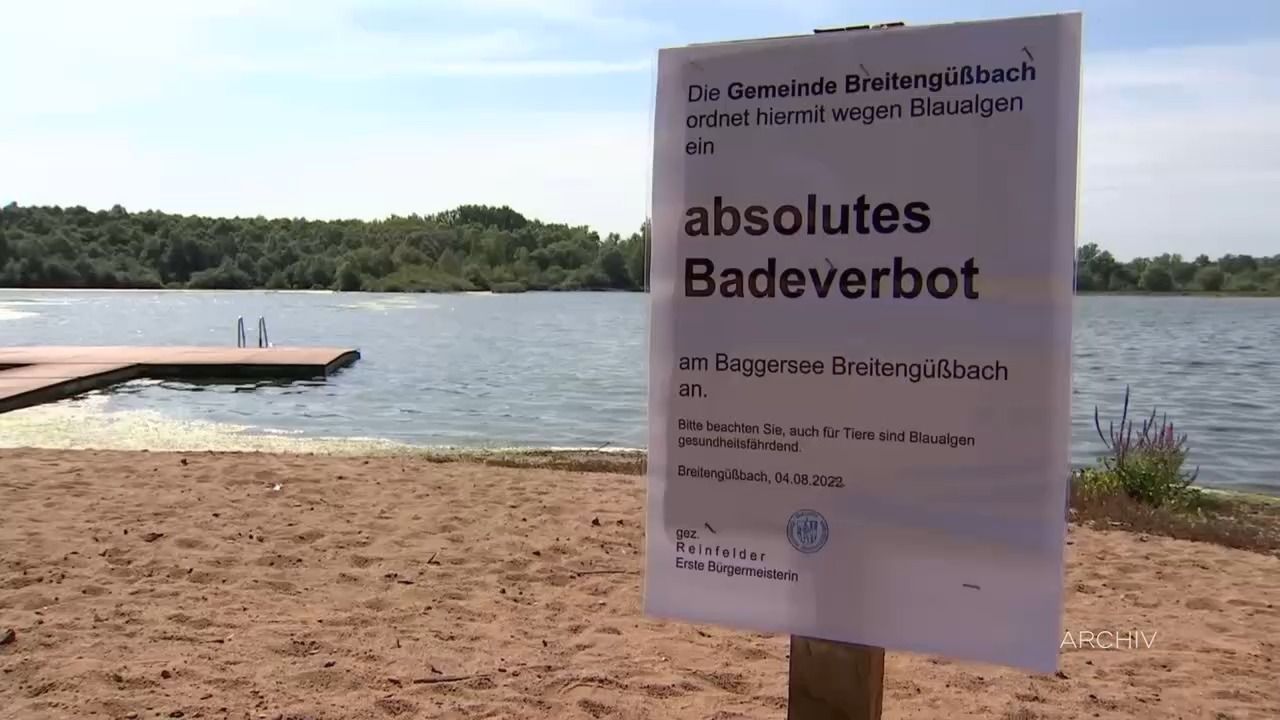 Video: Gefahr im Wasser: Gesundheitsamt warnt vor Blaualgen