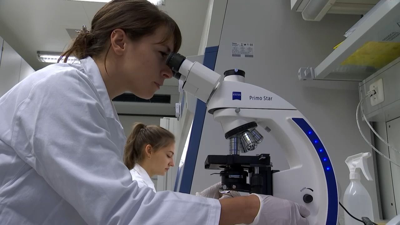 Video: Milliarden für Bayerns Unikliniken: Freie Wähler fordern Investitionen