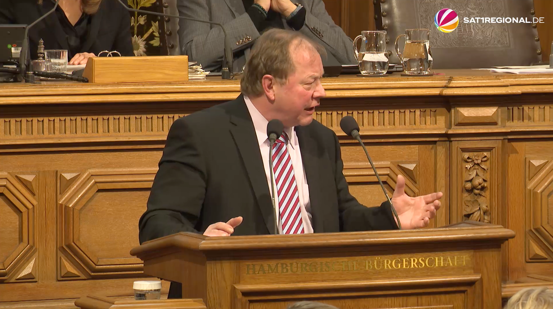 Video: Debatte über AfD-Verbotsverfahren in der Hamburgischen Bürgerschaft