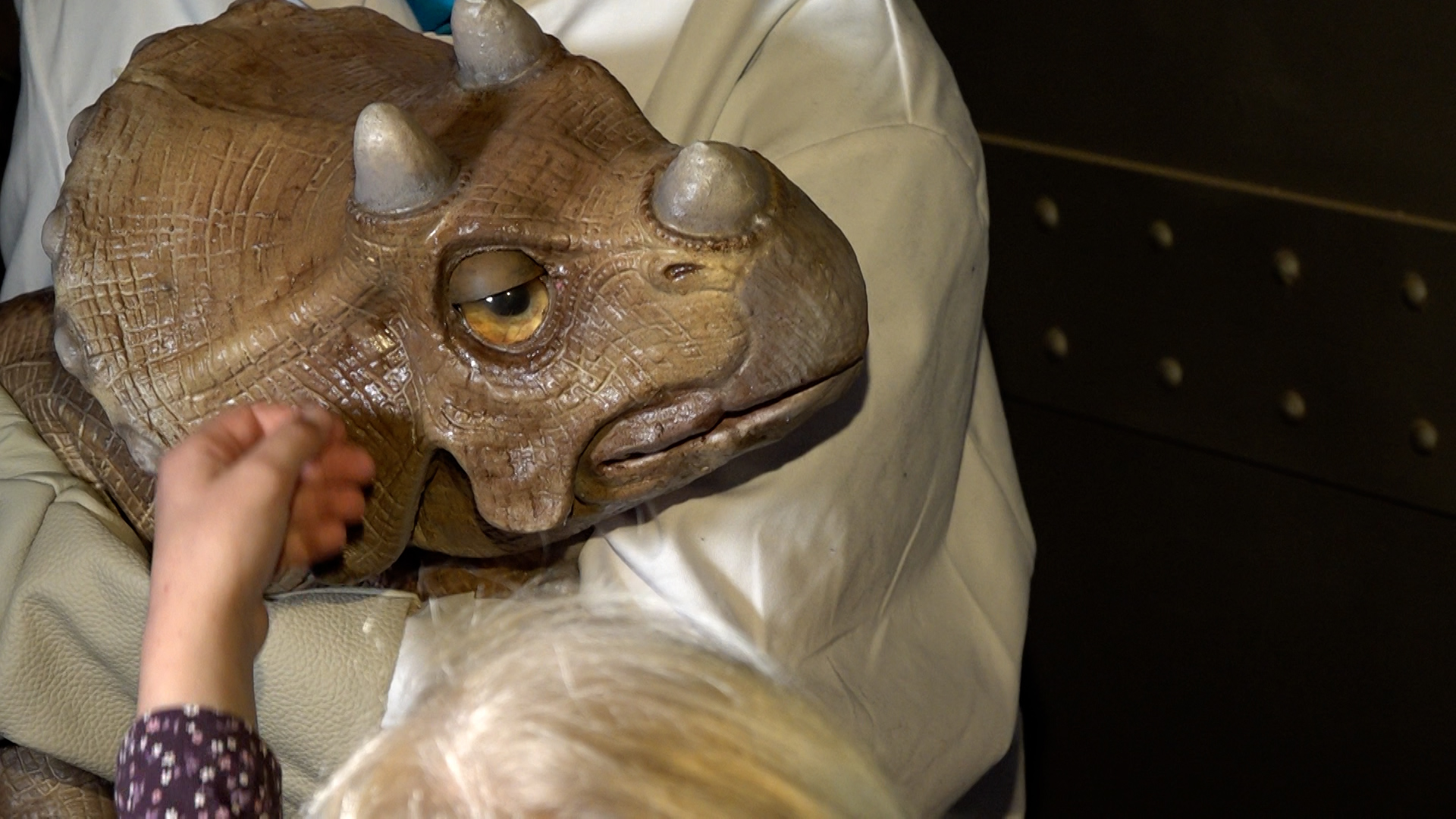 Video: Interaktive DinoXperience in Königswinter