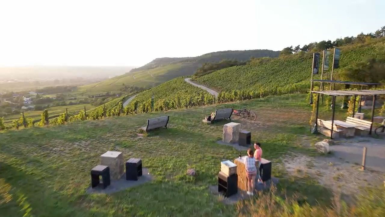 Video: Nei g’schaut - zu Gast in Franken: Kunst für Gaumen und Augen in Würzburg