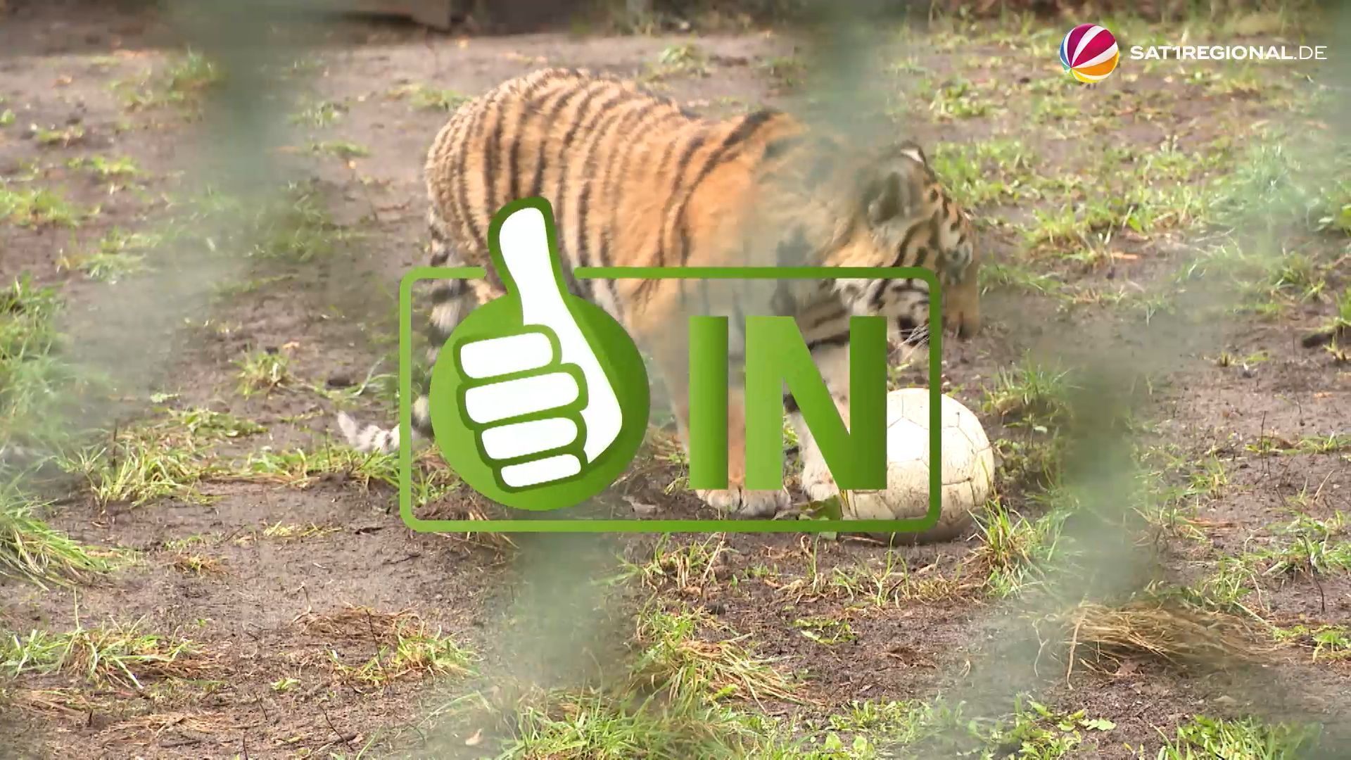 Video: In & Out: Der Monatsrückblick für März 2026