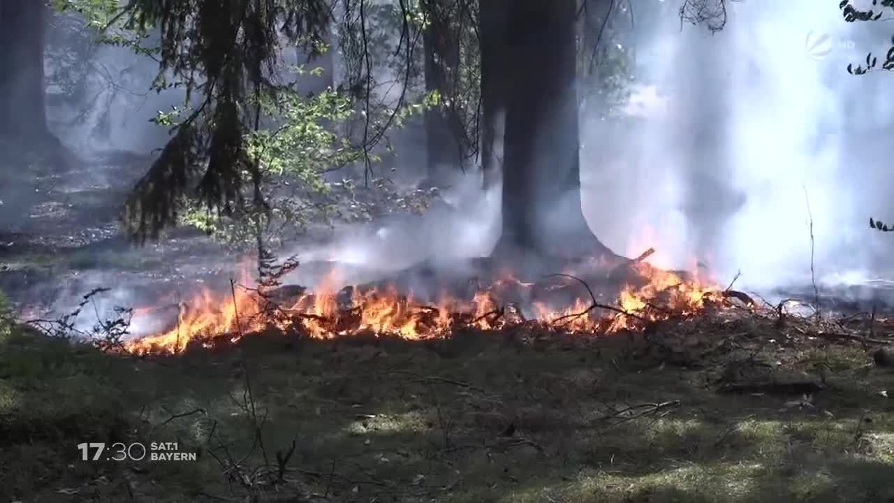 Kaum Regen in Unterfranken: Feuer zerstört 25.000 Quadratmeter Wald