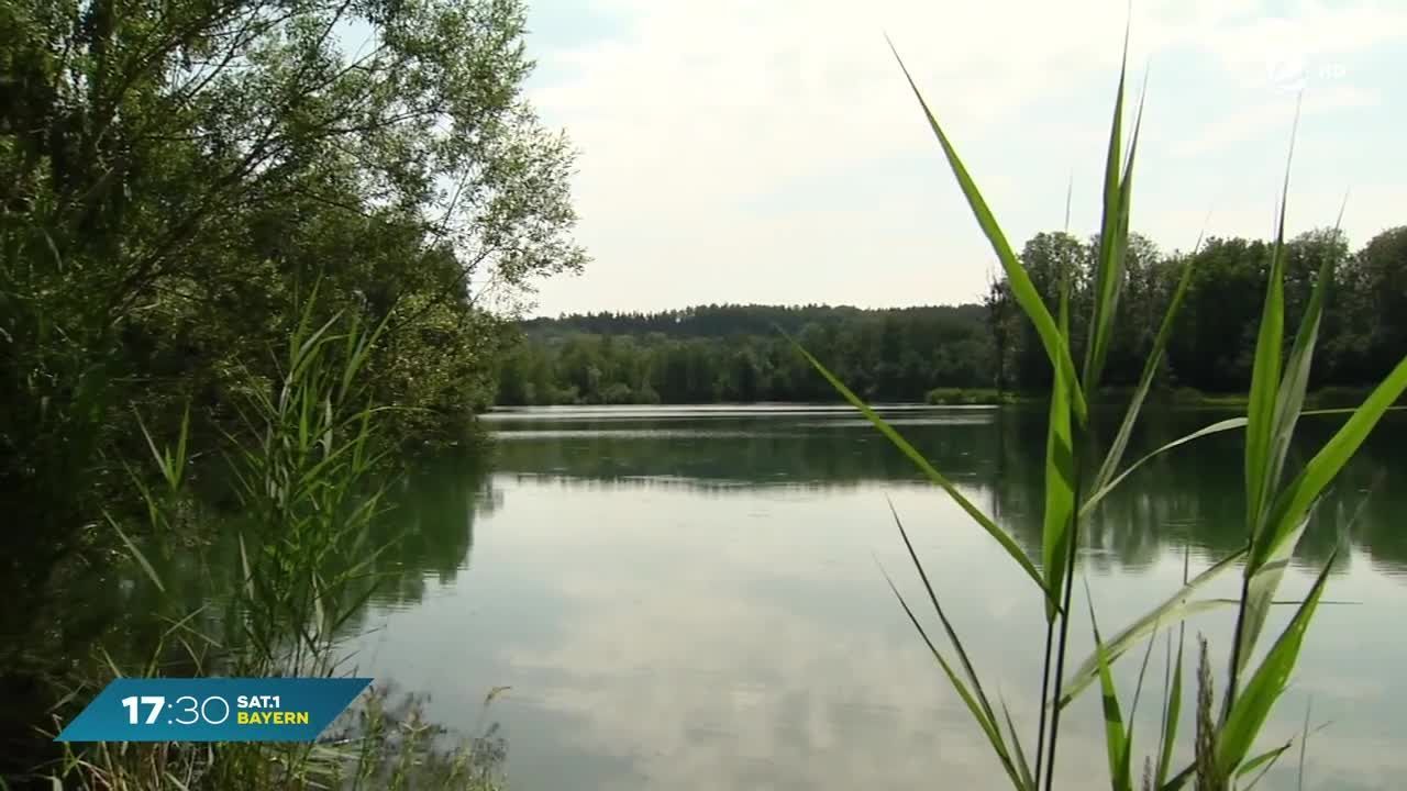 Experience my Bavaria: Nature Paradise Danube Forest Hiking Trail
