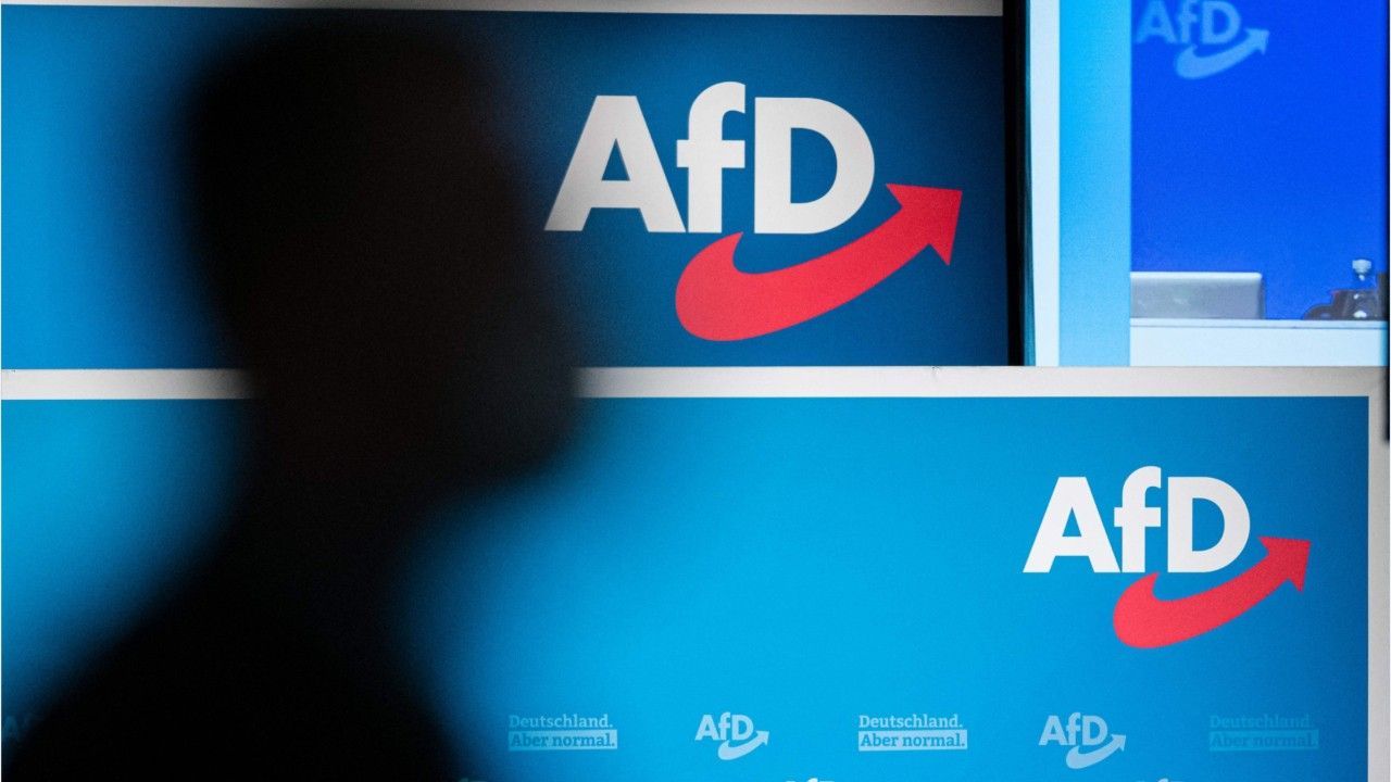 Sorge nach Umfrage: AfD hat mehr Stimmen als NSDAP 1930