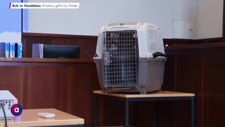 Bub in Hundebox: Prozess geht ins Finale