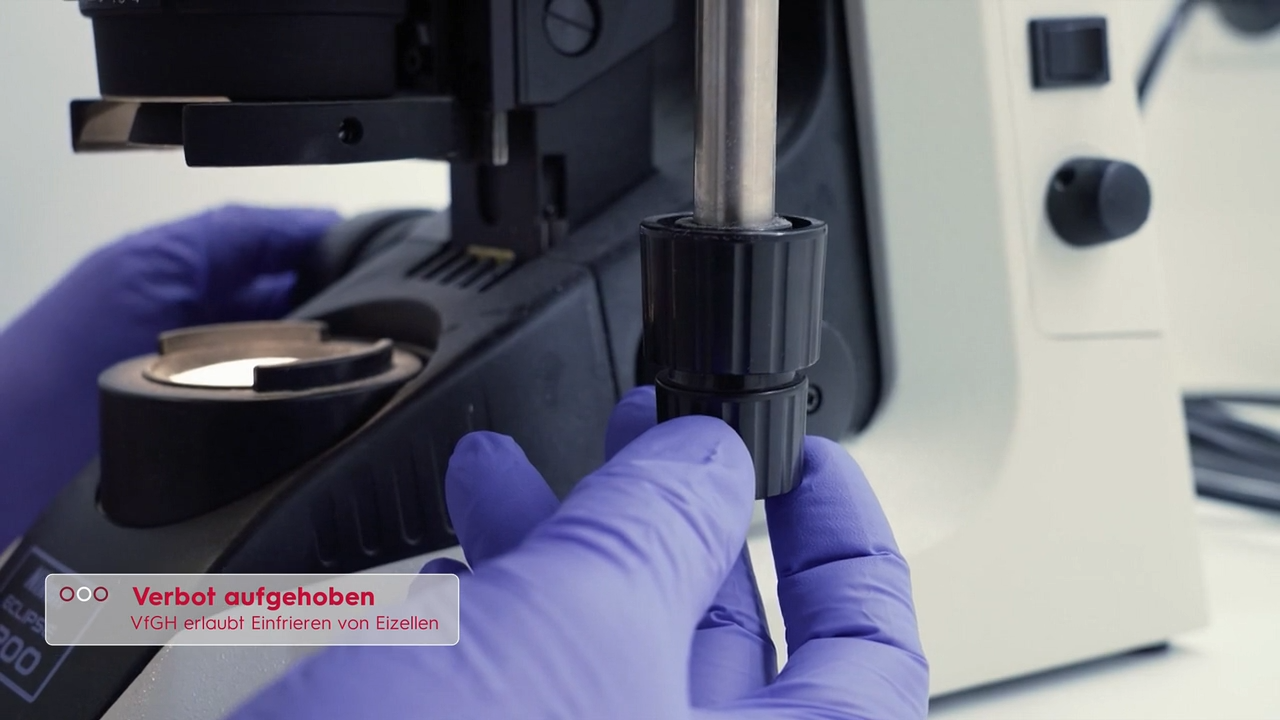 Video: Verfassungsgericht kippt Eizellen-Verbot