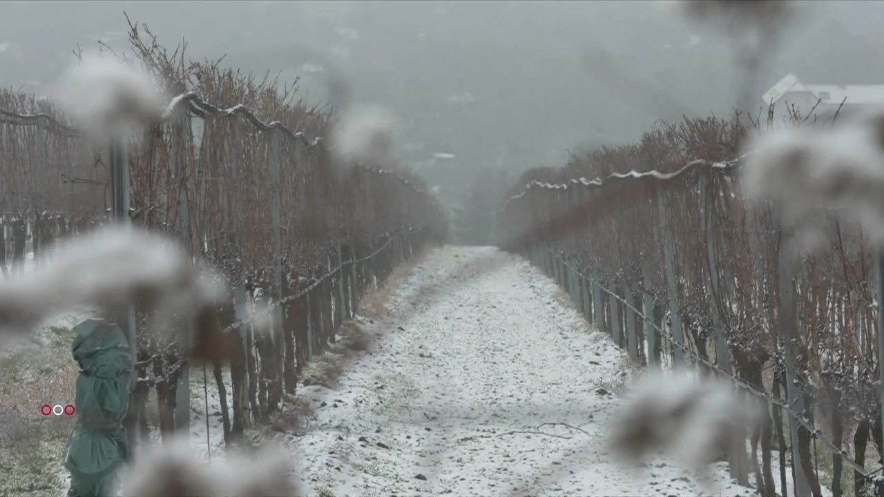Video: Der Winter trifft den Osten Österreichs