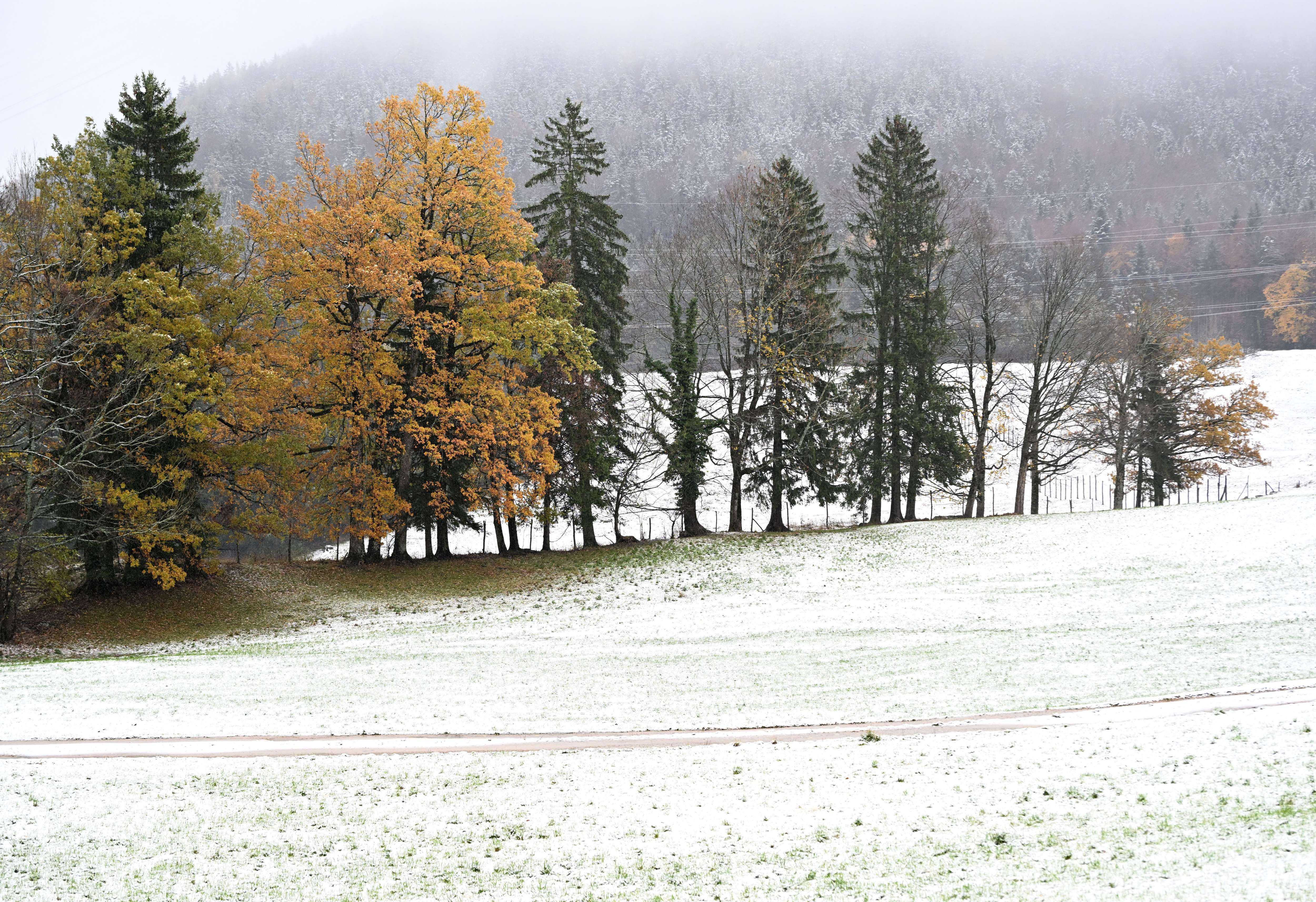 Ist der Wintereinbruch schon da?