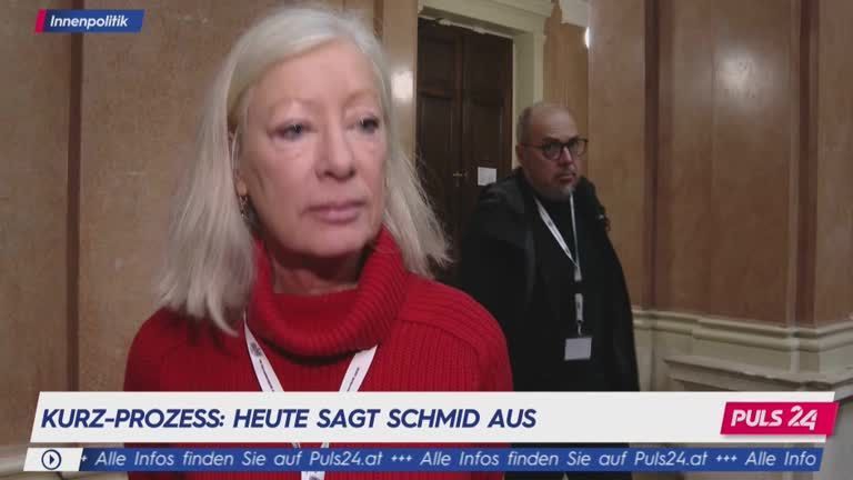 Kurz-Prozess: Schmid "ein Mann im Schatten"